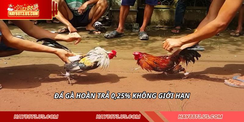 Đá gà hoàn trả 0,25% không giới hạn